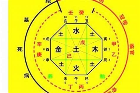 八字試算|生辰八字算命、五行喜用神查詢（免費測算）